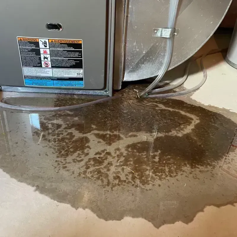 Appliance Leak Cleanup in Morgan County, IL